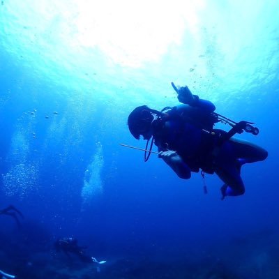 KK109690526's profile picture. 社会人。趣味垢。 ダイビング🤿(OD･SD･SDC中性浮力 取得済)／ゲーム･配信🎮／フェス・音楽(OOR、SPYAIR、Novelbright等)🎧/日本腎リハ学会員／腎リハ指導士取得済📕