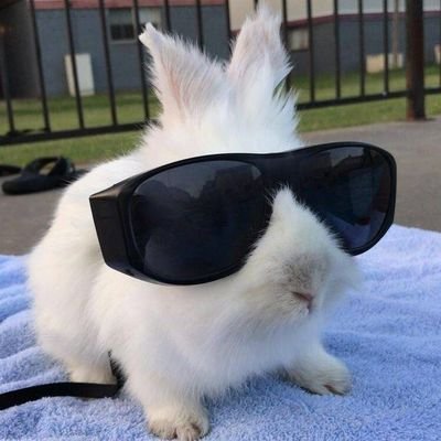 appleade99's profile picture. 언제나 너의 곁에 형이 있으니 걱정하지 말고❤️‍🩹