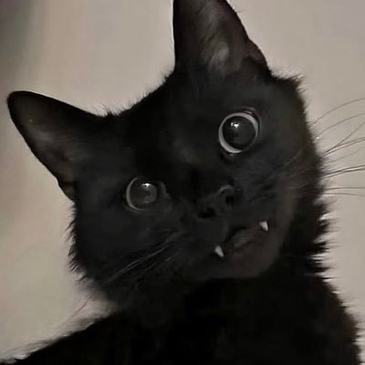 SilkAVGC's profile picture. 17 | VGC Player