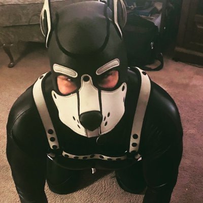Just a pup looking to have fun and try new things. Submissive bottom. 18+ NSFW. DMs open . #pupplay #humanpuppy #humanpup #gaypup #bottom #switch #beta #bondage
