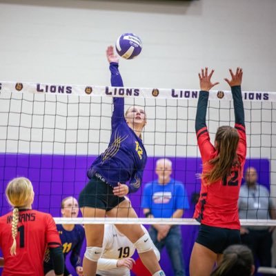 C/O 2027, Central Lyon HS, 5’9”, 4.0 GPA, 🏐OH, 🏀SF, 🥎CF, 👟100/200