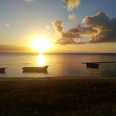 nicolasfleury's profile picture. Ingénieur IT Freelance. ❤️ open-source + 🍜
