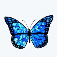 तितली 🦋 (@titli_ji) 's Twitter Profile