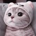 Ruinxia (@ruinxia_) Twitter profile photo Ruinxia (@ruinxia_) Twitter profile photo