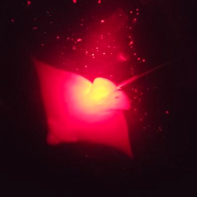 tyyhuh1's profile picture. r