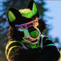 Acera Wolf (@acerawolf) 's Twitter Profile Photo Acera Wolf (@acerawolf) 's Twitter Profile Photo