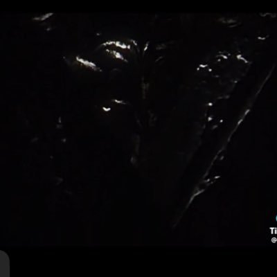 darkdizzy4's profile picture. @shocked