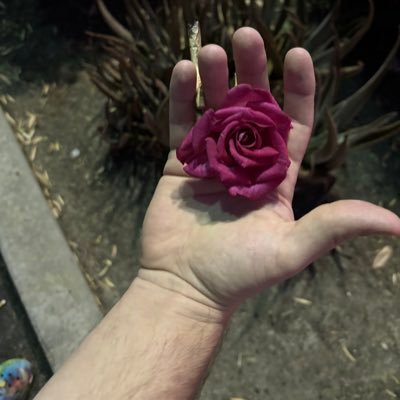 mozeeeeez's profile picture. In the word of Bill and Ted: “Be excellent to each other.”