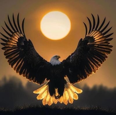 harfolarbhi's profile picture. Legal Scholar
A.I.U, Maradi | Shari'a & Civil Law
Future Barrister | Advocating for Clarity&Justice.