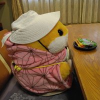 優羽 (@t4ocpawtrwvwil6) 's Twitter Profile
