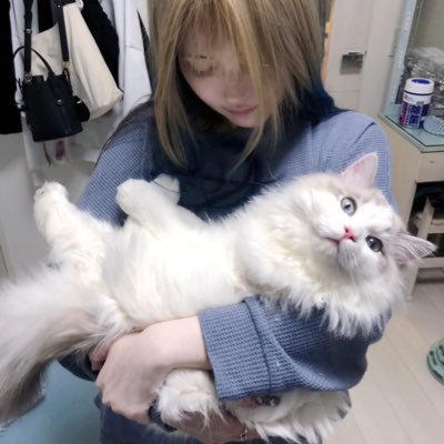 mmeidayo_'s profile picture. @baroluoluoluにいるよꕀ♡˒˒ ゲームとお酒が好きです🎮🍹 インスタ▶︎make101105