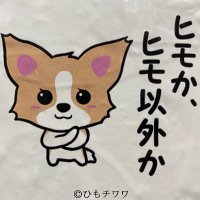 ちわわのニキ (@kz_renren) Twitter profile photo