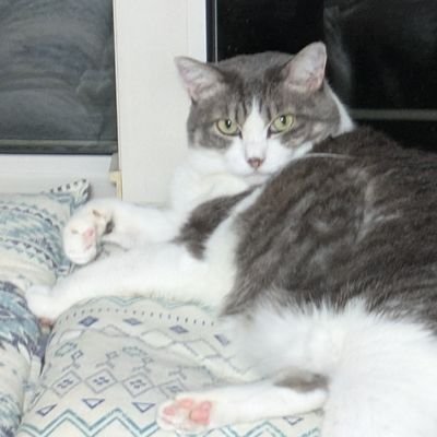 3DP_YAYAnagi's profile picture. 3Dプリンター始めました。