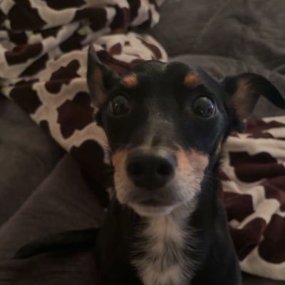 beneussa's profile picture. 