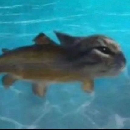 T88015T's profile picture. 