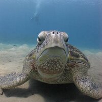 Nick Stephens (@nick_stephens) 's Twitter Profile