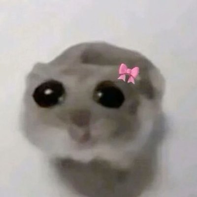 ╰┈➤ ¡! ✧・° a very demure and quiet introvert frfr ✧・°
celestitenginamo on discord!