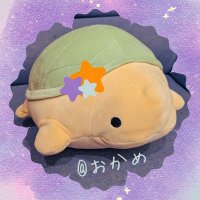 おかめ🐢 (@0kame72n0na) Twitter profile photo