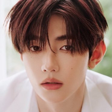 Yuanforhao's profile picture. 🍁Engagement acc for 🎻