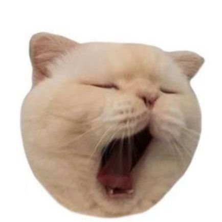 @nenenenenenenoo