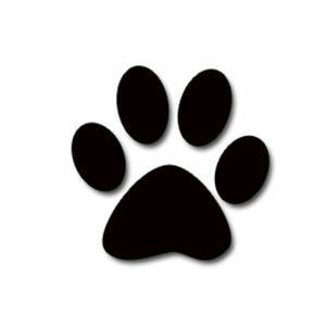 DogFun is dé webshop voor alle snacks, speeltjes en toebehoren voor honden!