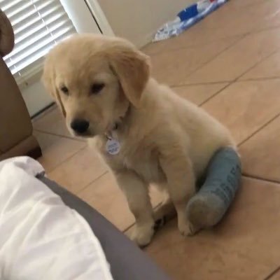 nskanskdkx's profile picture. 哈哈