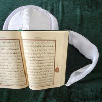 Muhammed Taha Ayan (@mtahaayan) 's Twitter Profile Photo