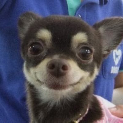 천さんのプロフィール画像