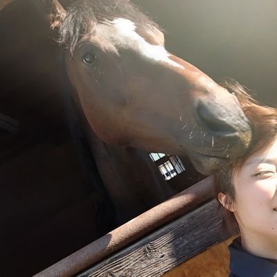 szcharo715's profile picture. 育成牧場の馬乗り