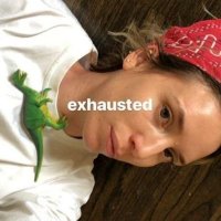 dan (@superruitra) 's Twitter Profile Photo