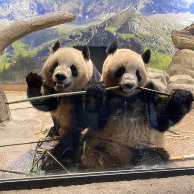 ひよさんのプロフィール画像