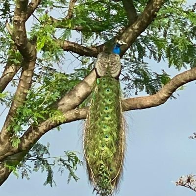 _Its_Abhi_40's profile picture. 😈