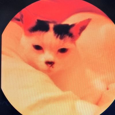 前のアカウントは削除しました
新しいアカウントです
DOLLPARTSファン
絞殺者たちベースボーカル
63歳になりました
瓦屋一級技能士、一級建築士です