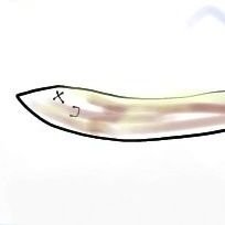 にぼしさんのプロフィール画像