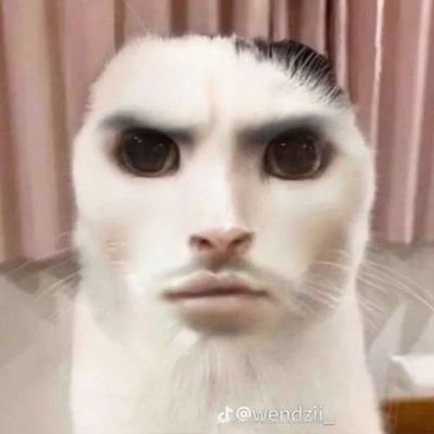 chisamさんのプロフィール画像