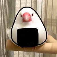 YUI⋆* (@ktt_kum_kmc) 's Twitter Profile Photo YUI⋆* (@ktt_kum_kmc) 's Twitter Profile Photo