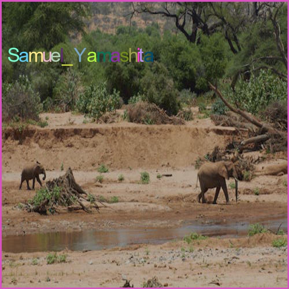 SYamashita93323's profile picture. SamuelJordan Yamashita Ozosovagom Radizemizu