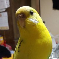 c.s 2025社労士受験生 (@cs01200710) Twitter profile photo