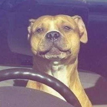 O_Bree_'s profile picture. For the Love of Poetry 》》☆》》  J Cole's Biggest Fan.