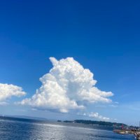 sio (@sio67092693) 's Twitter Profile