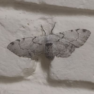 Marikoochaan's profile picture. she/her 
21 years