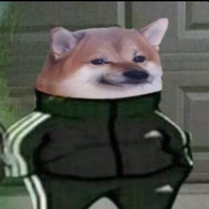 tasospap122155's profile picture. crypto hunter
ALTS 
Bullrun 
Moneymaker