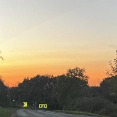 farrightfemale's profile picture. 