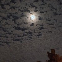 Kubi kubi (@kkubilayy) 's Twitter Profile Photo