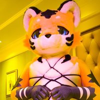 乐天 (@letianlt) 's Twitter Profile