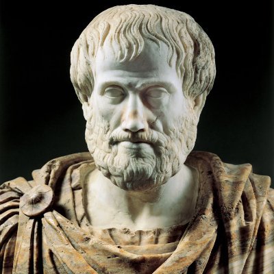 Rockthecook's profile picture. Tired of NIMBY.