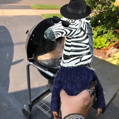 Agent_McZebra's profile picture. Deleted at 1.2M