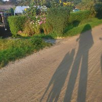 Nour Cane (@nourcane2018) 's Twitter Profile