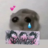𝖘𝖔𝖕𝖍𝖎𝖊 (@paintparamore) 's Twitter Profile Photo 𝖘𝖔𝖕𝖍𝖎𝖊 (@paintparamore) 's Twitter Profile Photo
