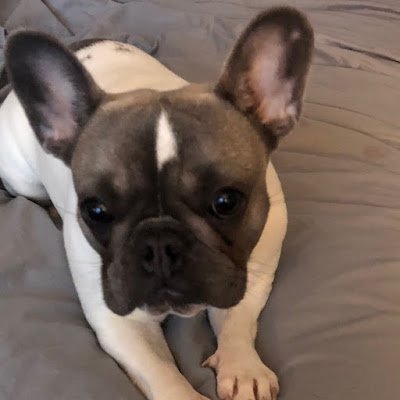 CFreuler's profile picture. Driving Innovation in Law Firms through MarTech, Data & Automation | Marketing Technology Leader | Advancing Digital Strategy in Legal